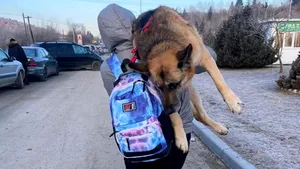 O femeie a călătorit 17 kilometri cu câinele său bătrân pe umăr: „Nu l-am putut abandona”