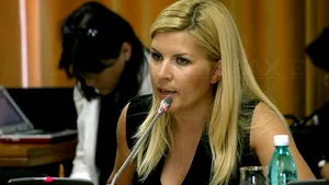 Udrea: PDL susţine revizuirea Constituţiei