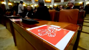 Raport PSD: Să nu ne concentrăm doar pe reforme care ţin de dorinţele apropiaţilor noştri