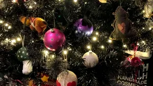 FOTO: Imaginea care a înnebunit internetul. Puteţi găsi singuri pisica din pomul de Crăciun?