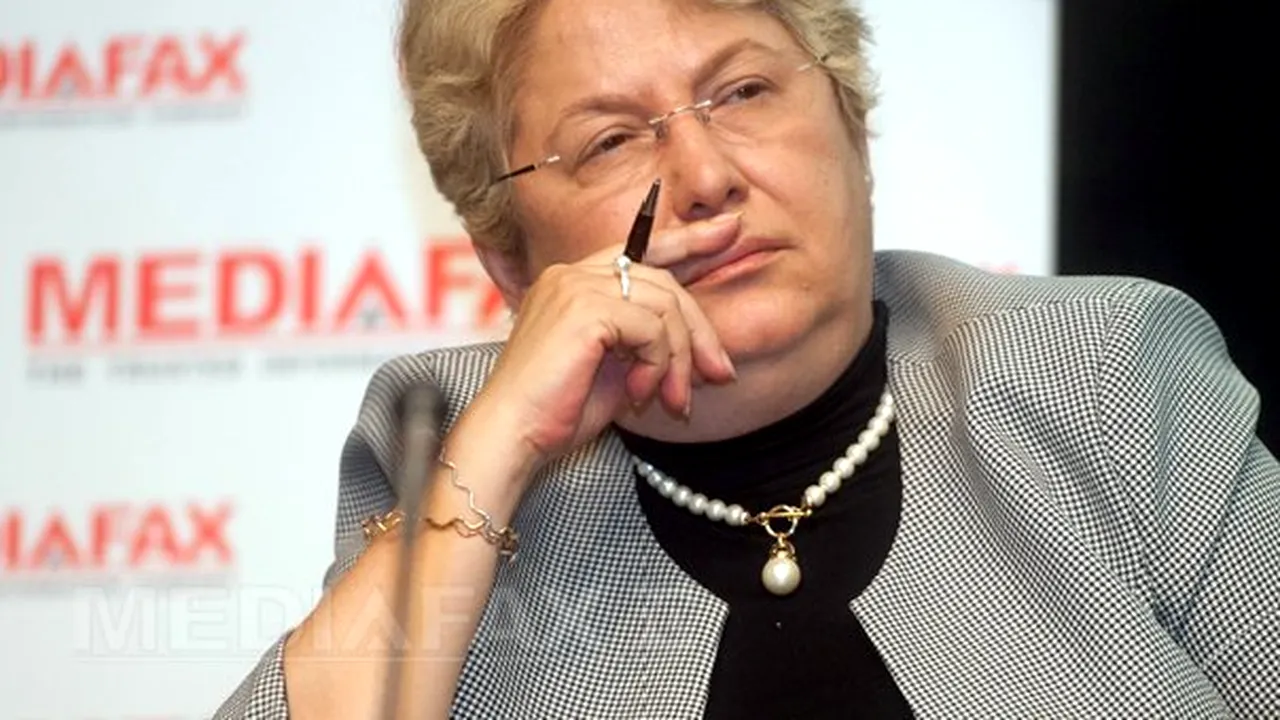 CONFERINŢA MEDIAFAX: Neagu, Transelectrica - Sistemul energetic 