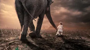 Fotografii suprarealiste realizate de un român, elogiate într-un cotidian britanic - FOTO