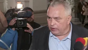 Constantinescu: Întreg sistemul de salvare este greşit, pentru că nu include toate instituţiile