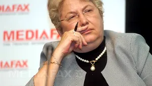 CONFERINŢA MEDIAFAX: Neagu, Transelectrica - Sistemul energetic 