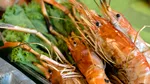 De la „deșeuri” la hrană: cum se transformă resturile din pește și fructe de mare într-o nouă oportunitate alimentară în Europa