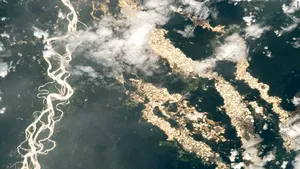 Realitatea dură din spatele imaginilor spectaculoase cu râuri „de aur” din Pădurea Amazoniană