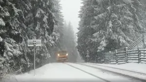 VIDEO. Ninge în Suceava. Meteorologii au emis cod galben de ninsoare şi vânt