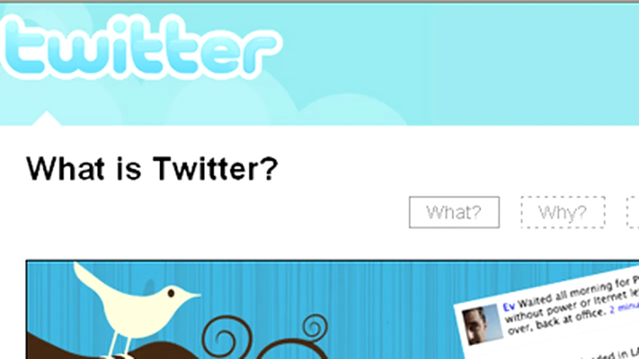 Celebrităţile îşi povestesc zilnic viaţa pe Twitter