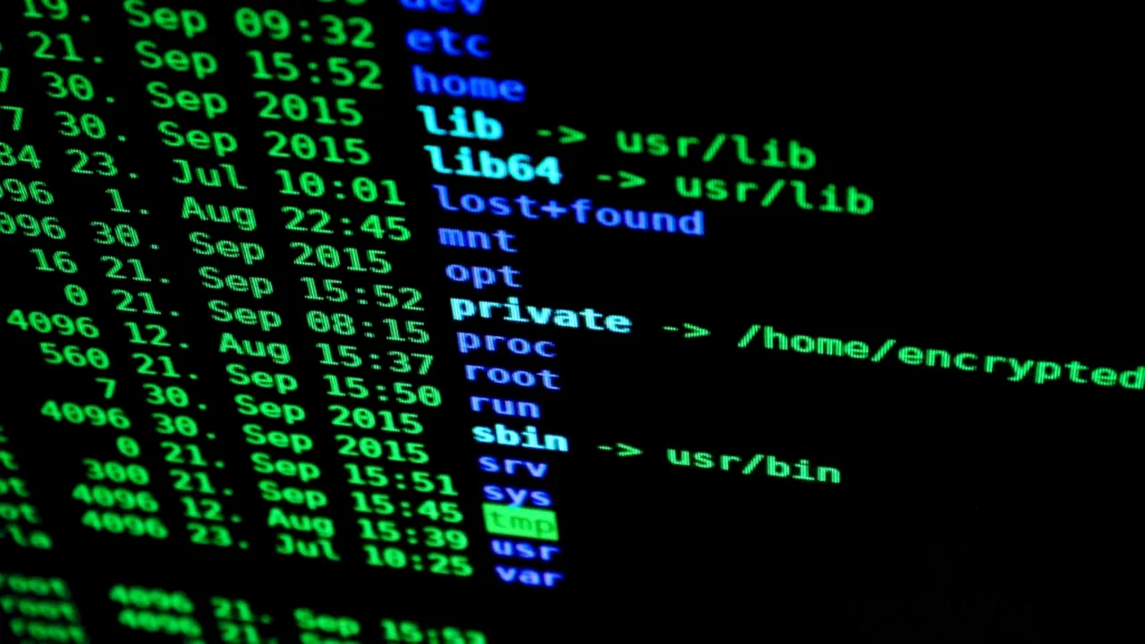Miliarde de utilizatori ai platformelor online din SUA s-au ales cu datele furate. Cum ne putem proteja?