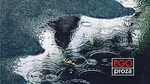 O carte pe zi: „Fragil” de Simona Goşu