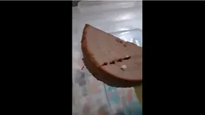 Spitalul de Copii, despre cina cu viermi: Recipientul folosit a fost păstrat într-un sertar cu mere vechi