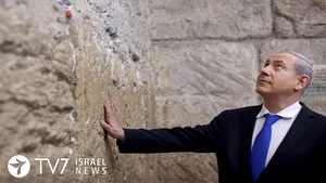 COMENTARIU Lelia Munteanu. Bibi, Paznicul Zidurilor

