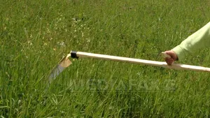 Un bărbat din Alba a ameninţat mai mulţi poliţişti cu o coasă