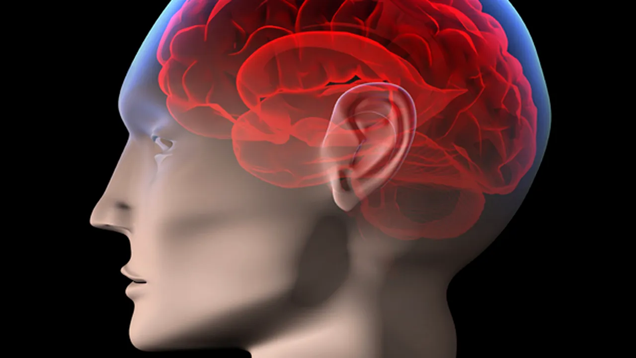 O nouă teorie despre cauza bolii Alzheimer: totul începe de la granulele de stres