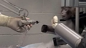 Braţ robotizat ce poate fi mişcat cu puterea gândului