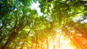 Vreme în general frumoasă, cu temperaturi mai scăzute decât în zilele precedente. Zonele unde vor cădea ploi . PROGNOZA METEO pentru joi şi vineri