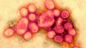 China anunţă că a depistat primul caz din lume de gripă aviară H10N3 la om