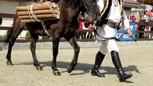 Premii de 180.000 de lei pentru cele patru etape ale circuitului Salonul Calului