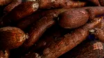 Alimentul consumat de spanioli toamna care înlocuiește cartoful și protejează mușchii și sistemul nervos