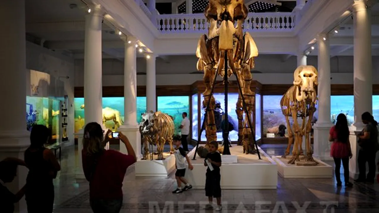 O NOAPTE LA MUZEU: 20 de copii au dormit lângă scheletul de Deinotherium de la Antipa
