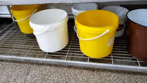 Pereţi mâncaţi de igrasie, gresie spartă şi alimente puse pe jos, la un cămin de bătrâni din Braşov | Imagini revoltătoare