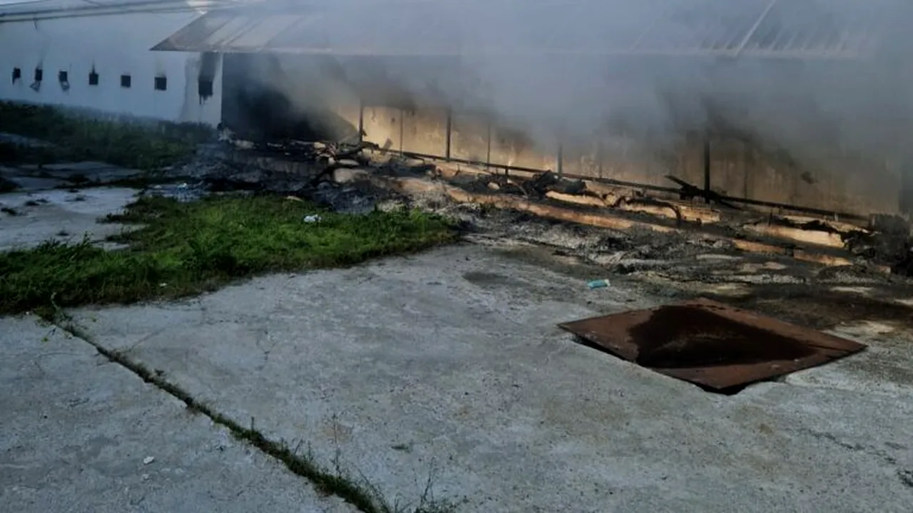 Intervenție în desfășurare. Incendiu puternic la o hală de pui din Satu Mare