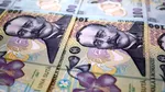Românii bagă banii în titluri de stat. Record: românii au scos din buzunare 4,3 mld. lei în ediţia din februarie, pentru dobânzi de până la 7,95% în lei şi 6,25% în euro