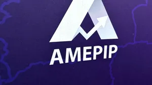 Cine face parte din conducerea AMEPIP? Anișoara Ulcelușe, șefă de departament la Comisia Europeană și director de finanțe la mai multe firme din mediul privat