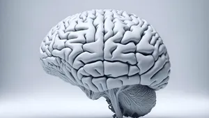 Implant cerebral controlat prin internet. Experimentul care leagă SUA de Coreea de Sud