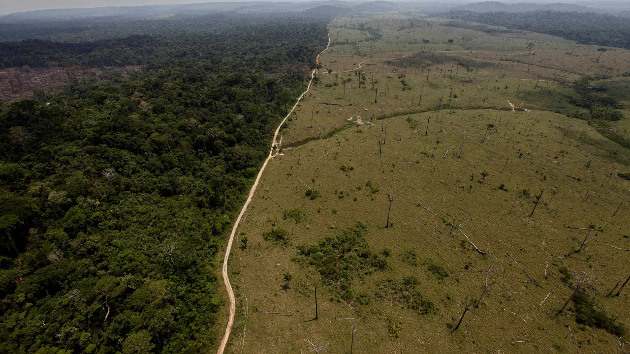 Oficial: Brazilia ar putea atinge un nivel istoric de defrişare în cel mult doi ani