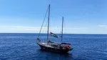 Europarlamentara Mélissa Camara, eliberată duminică din închisoarea israeliană după misiunea umanitară pentru Gaza