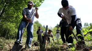 Trei partizani anticomunişti, ucişi într-o luptă cu Securitatea în 1949, vor fi deshumaţi
