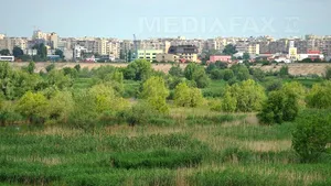 Parcul Natural Delta Văcăreşti, declarat arie protejată, fără administrator. Cele peste 180 de hectare, păzite de doi oameni