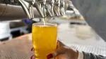 Heineken va începe producţia în România a unei beri cu o istorie de peste 150 de ani