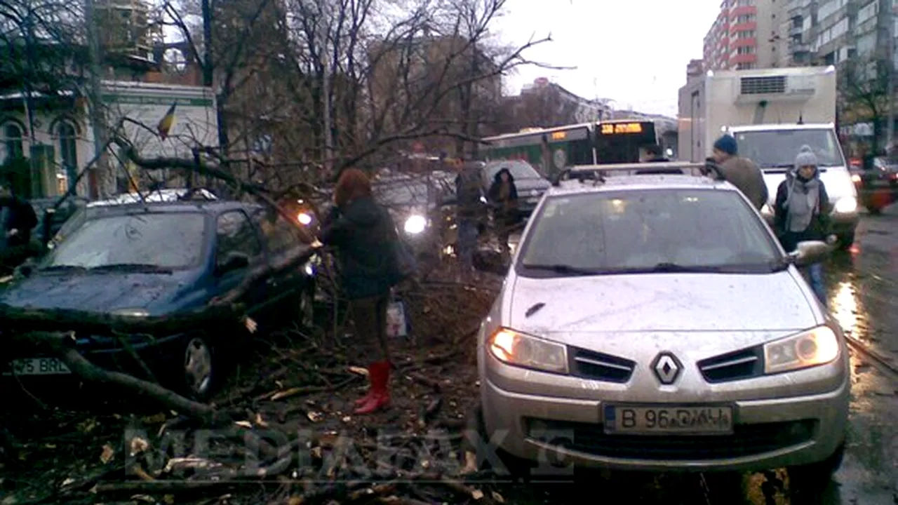 Incidente din cauza vântului: Un copac a căzut peste opt maşini pe Şoseaua Ştefan cel Mare. Trei stâlpi de electricitate au căzut pe o stradă din Sectorul 5