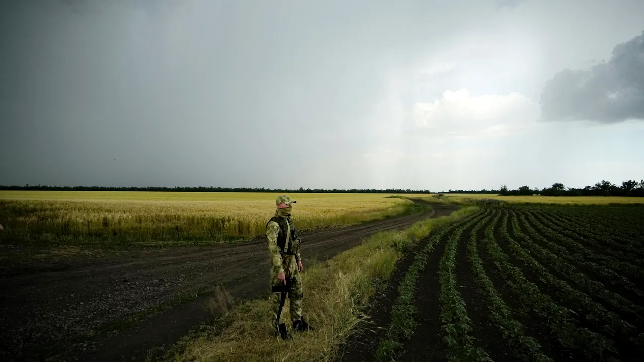 Ucraina începe recolta de cereale din 2023