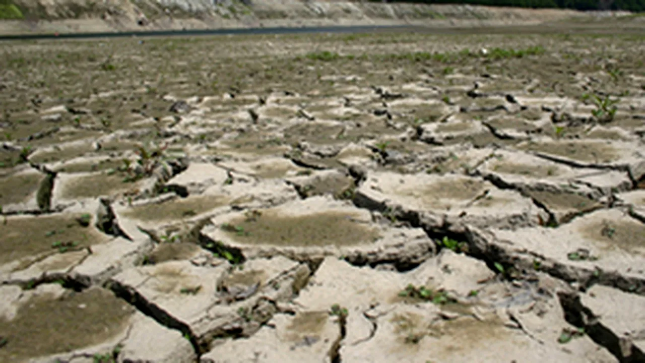 Romania Readies Extra RON100M For Irrigation To Fight Drought