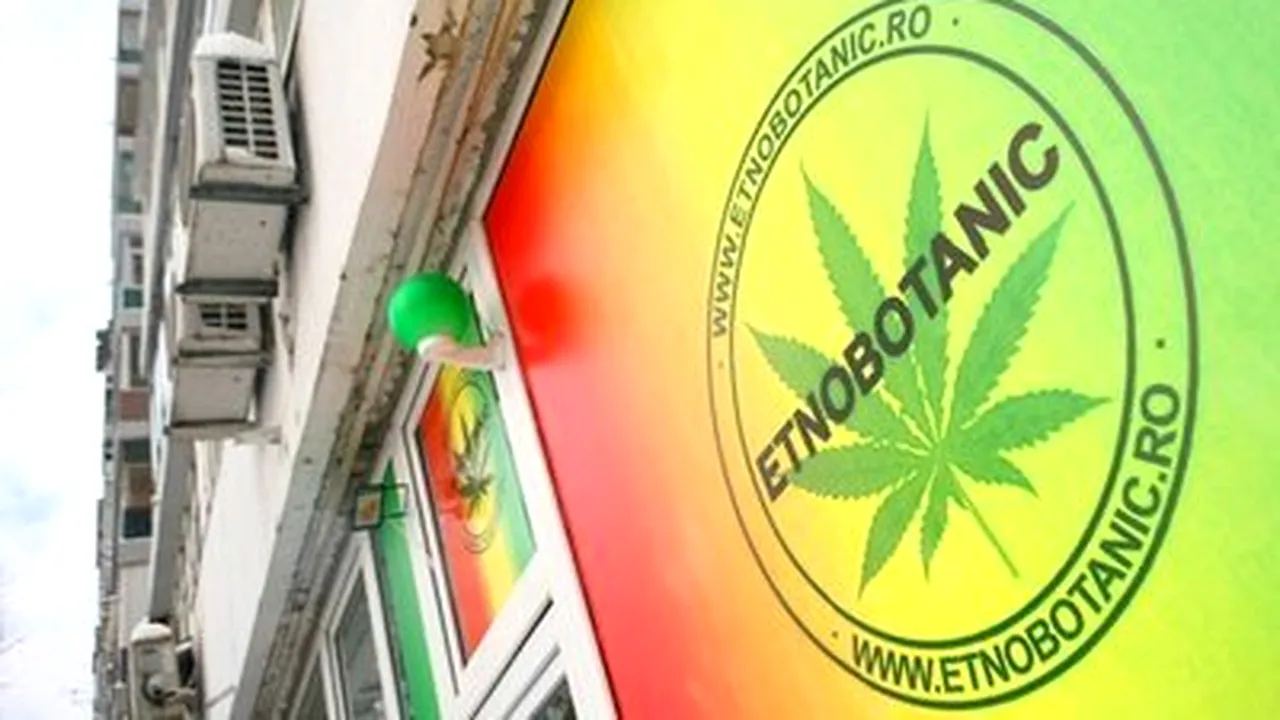 Romanian Govt To Send Parliament Bill Banning Hallucinogenic Plants