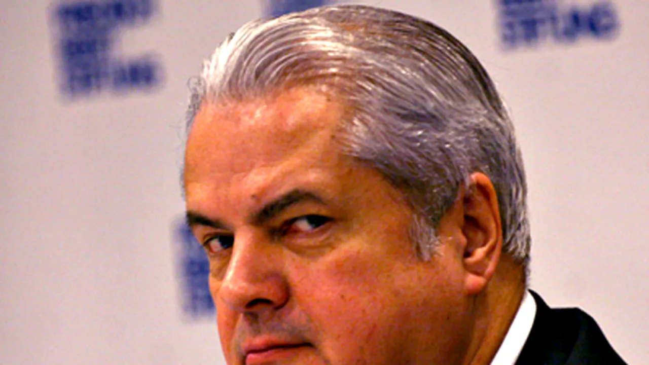 Pisici, găini, miei şi ţuica 