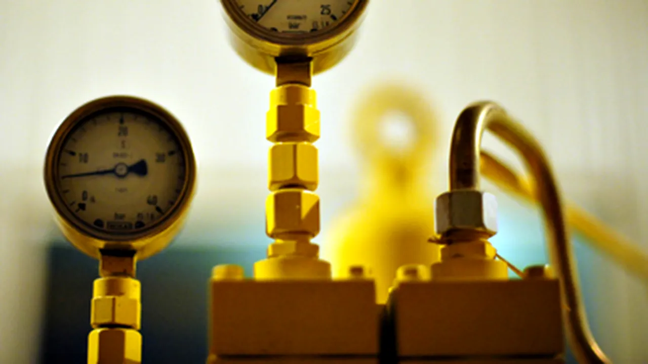 E.ON Gaz România cere consumatorilor industriali să raţionalizeze consumul de gaze