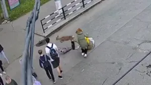 Accident bizar în Ucraina. O femeie a fost lovită de o căprioară în timp ce trecea pe zebră