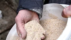 Coreea de Sud, Rusia şi Slovacia anunţă restricţii în legătură cu importurile de carne din Germania