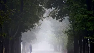 Cod galben de ceaţă şi vânt în 18 judeţe. Zonele afectate