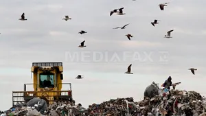 Administratorii gropii Glina, arestaţi într-un caz de spălare de 300 milioane de euro pentru mafie