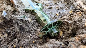 Arheologii au găsit o sabie veche de 3.000 de ani atât de bine conservată încât încă străluceşte