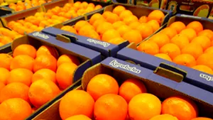 Preţurile de consum au crescut cu 0,7%, în februarie