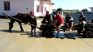 Bacău: Sute de case din Schineni, inundate