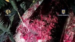 Cei doi inculpaţi în captura record de cocaină ascunse în fructe congelate, arestaţi preventiv