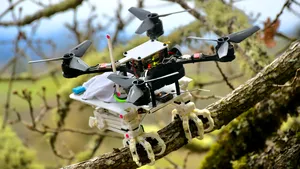 Oamenii de ştiinţă au creat prima dronă pasăre. Ce ştie să facă