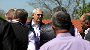 Dragnea, în război cu peştele de import: 200.000 lei e nimic pentru un lanţ uriaş de magazine